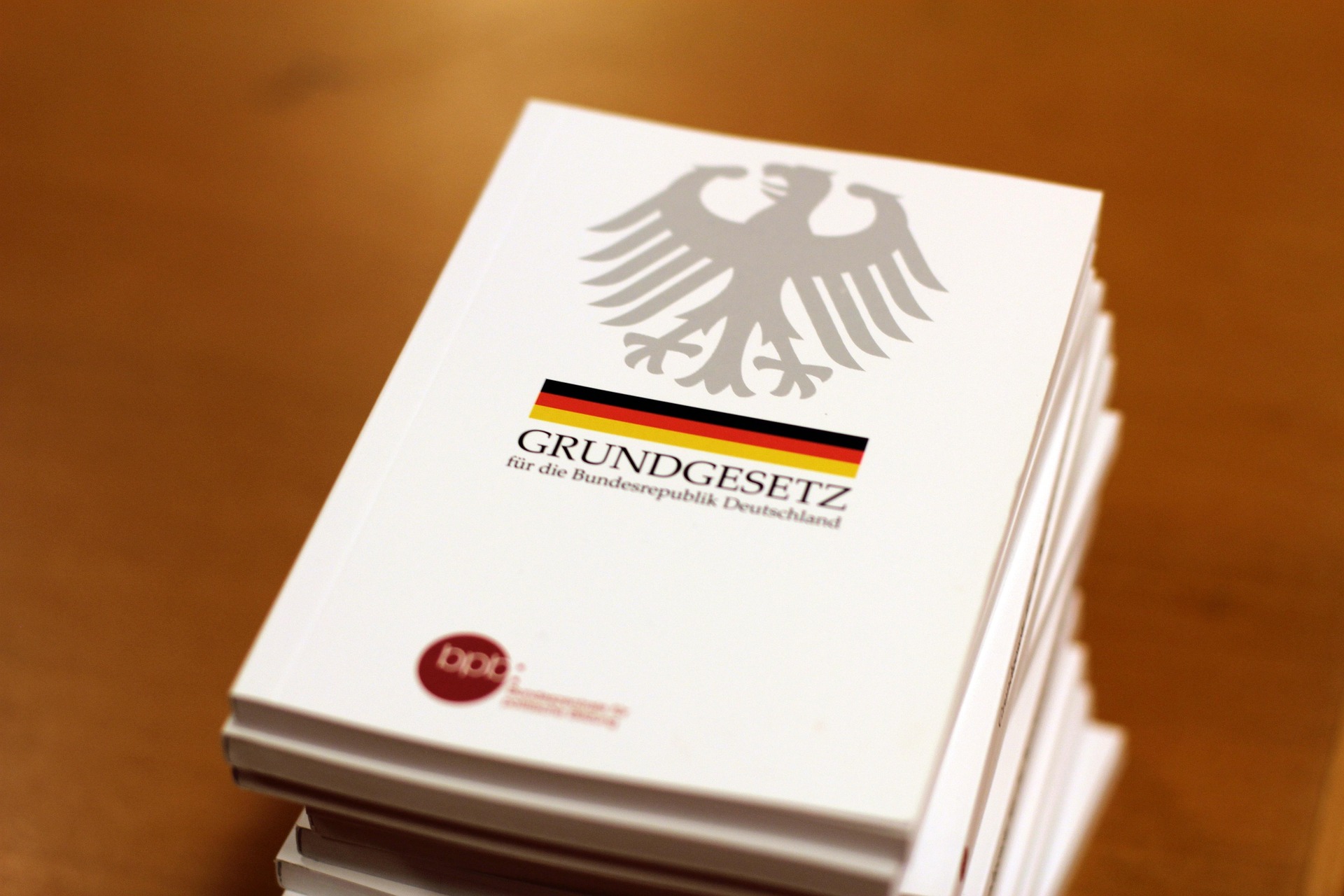 AfD insgesamt als „gesichert rechtsextrem“ eingestuft! (BfVS – aktuell)